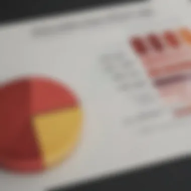 A visual representation of income and expenses in a pie chart format.