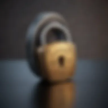 Symbolic lock representing personal information security