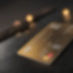 Detailed overview of First Access Credit Card features