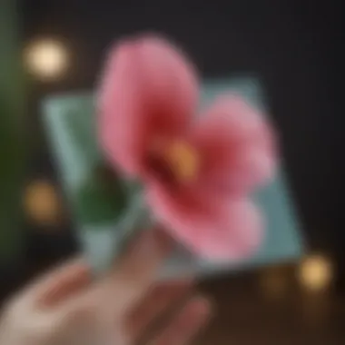 Exploring the Design of the Petal Secured Card Petal Secured Card showcasing its design and features