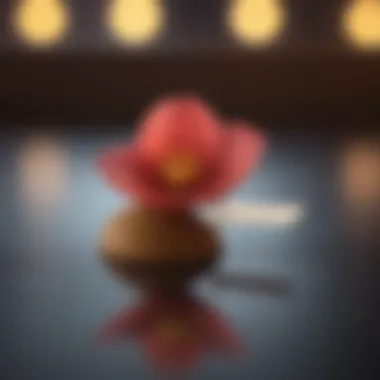 Drawbacks of the Petal Secured Card Diagram depicting drawbacks of the Petal Secured Card